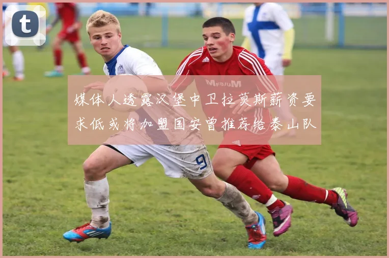 媒体人透露汉堡中卫拉莫斯薪资要求低或将加盟国安曾推荐给泰山队