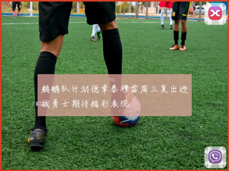 鹈鹕队计划德章泰穆雷周三复出迎战勇士期待精彩表现