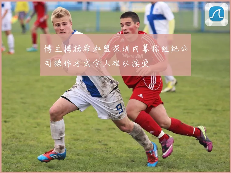 博主揭杨希加盟深圳内幕称经纪公司操作方式令人难以接受